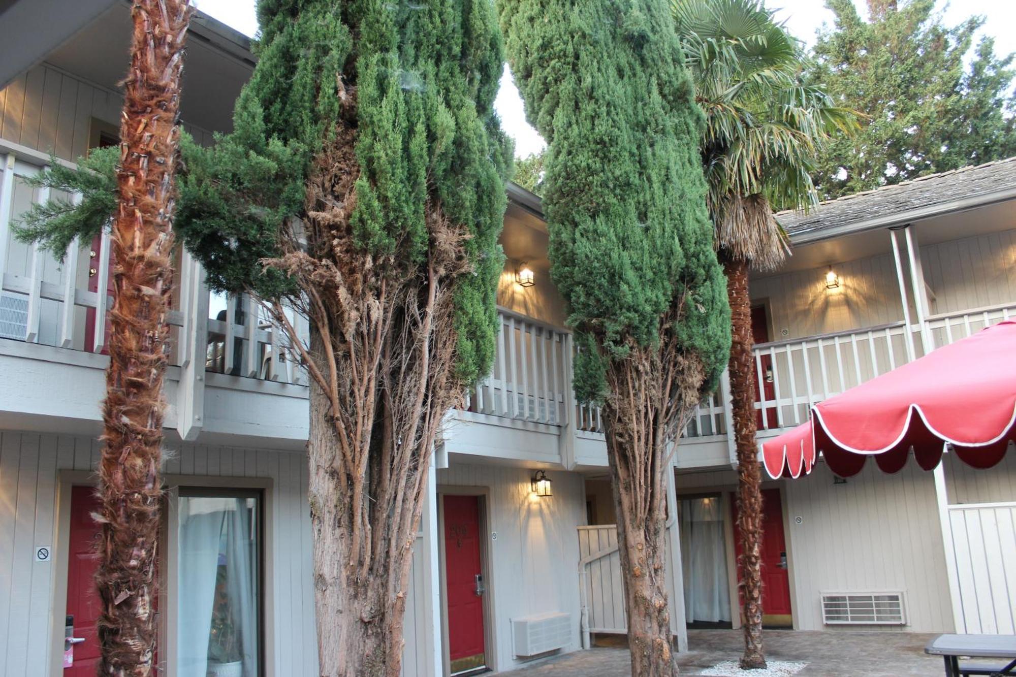 Cedarwood Inn Of Ashland Esterno foto